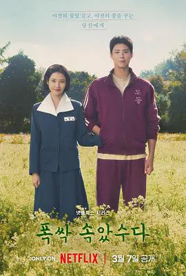 【韩国剧】苦尽柑来遇见你